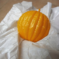 Fruit Shaped Sticky Fly Trap for Garden Mosquitoes, Insects & Flies