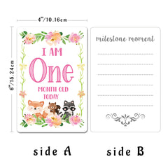 12pcs Newborn Month Sticker Cards - Perfect Baby Shower Gift