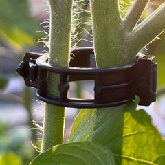 30pcs Plant Vine Clips Branch Fastener Tomato Cucumber Climbing Clips