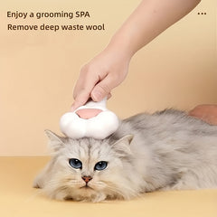 Pet Grooming Tool: Hair Removal Comb & Slicker Brush