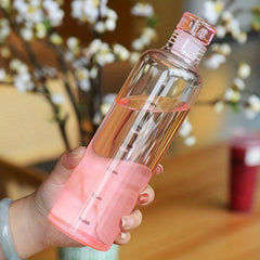 500ml Clear Leakproof Water Bottle With Time Scale - Lightweight Water Cup