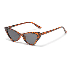 Triangle Cat Eye Ladies Sunglasses Hip Hop Glasses