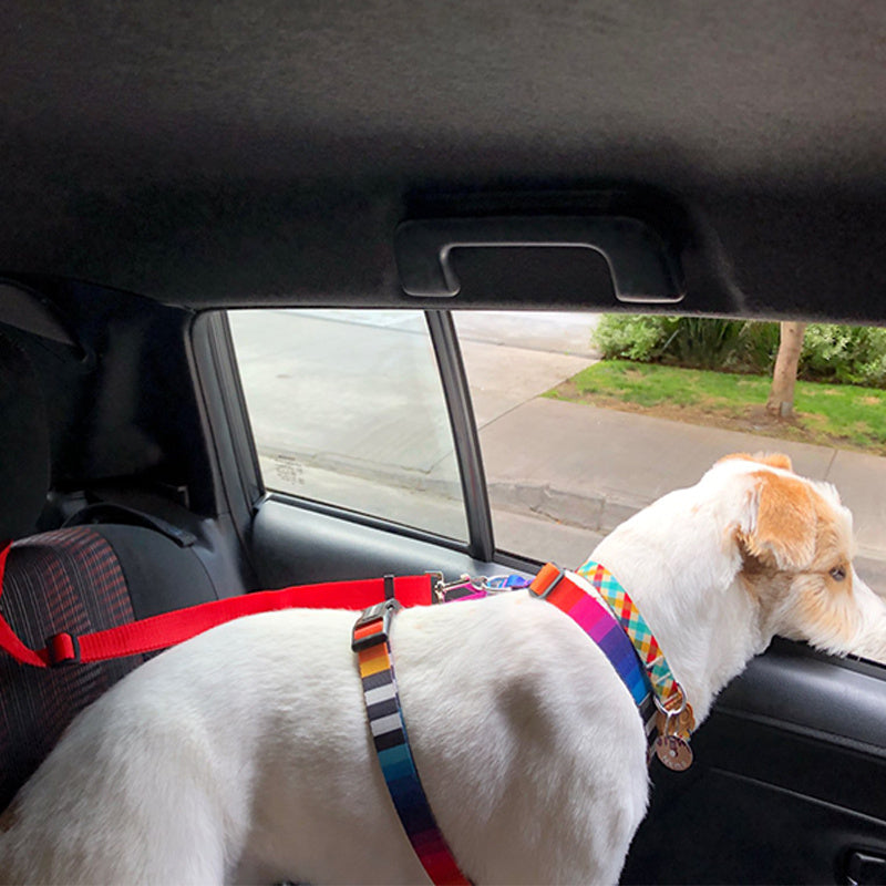 Adjustable Pet Car Seat Belt and Leash for Dogs Cats