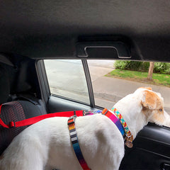 Adjustable Pet Car Seat Belt and Leash for Dogs Cats