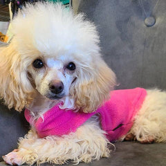 Warm Fleece Vest for Pets with Leash Ring