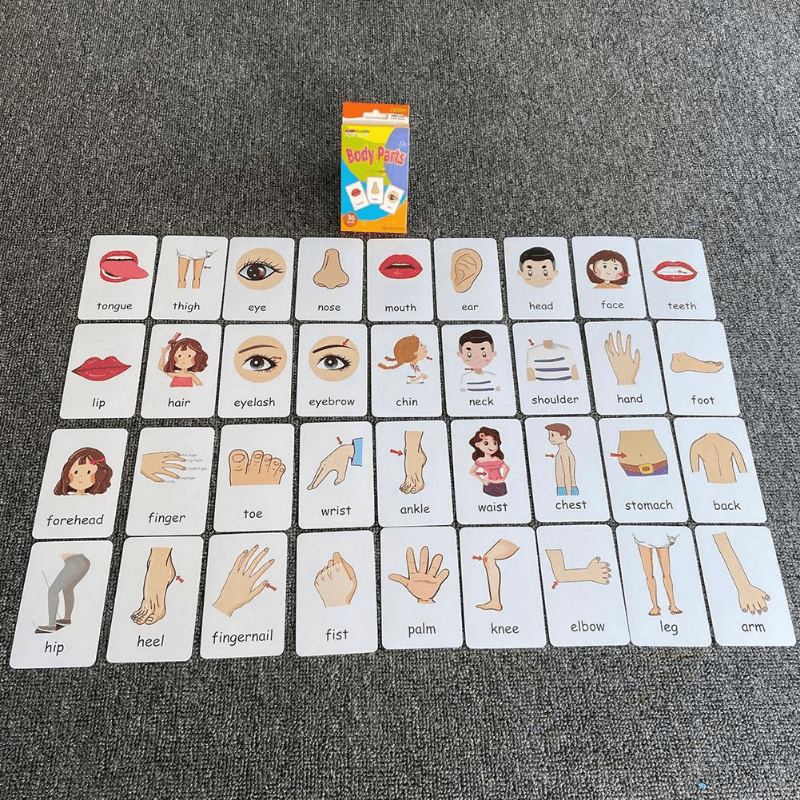 36pcs Double Sided Flash Cards for Kids' Cognitive Development