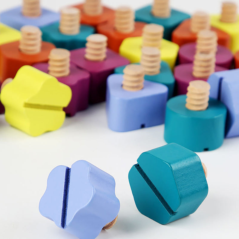 Wooden Screw Nut Disassembly Shape Matching Building Blocks