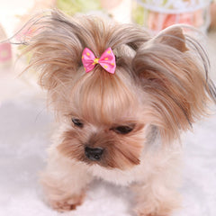3pcs Stylish Pet Hair Clips for Small Dogs and Cats Set of Adorable Hair Bows