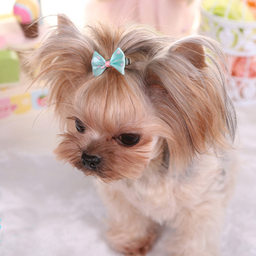3pcs Stylish Pet Hair Clips for Small Dogs and Cats Set of Adorable Hair Bows