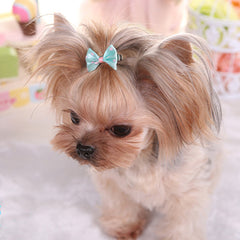3pcs Stylish Pet Hair Clips for Small Dogs and Cats Set of Adorable Hair Bows