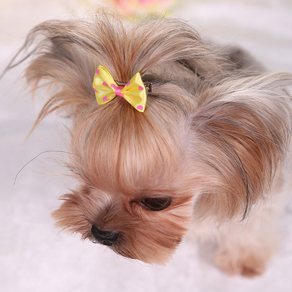 3pcs Stylish Pet Hair Clips for Small Dogs and Cats Set of Adorable Hair Bows