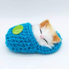Cute Sleeping Kitten In Shoe Toy