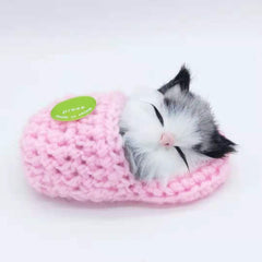 Cute Sleeping Kitten In Shoe Toy