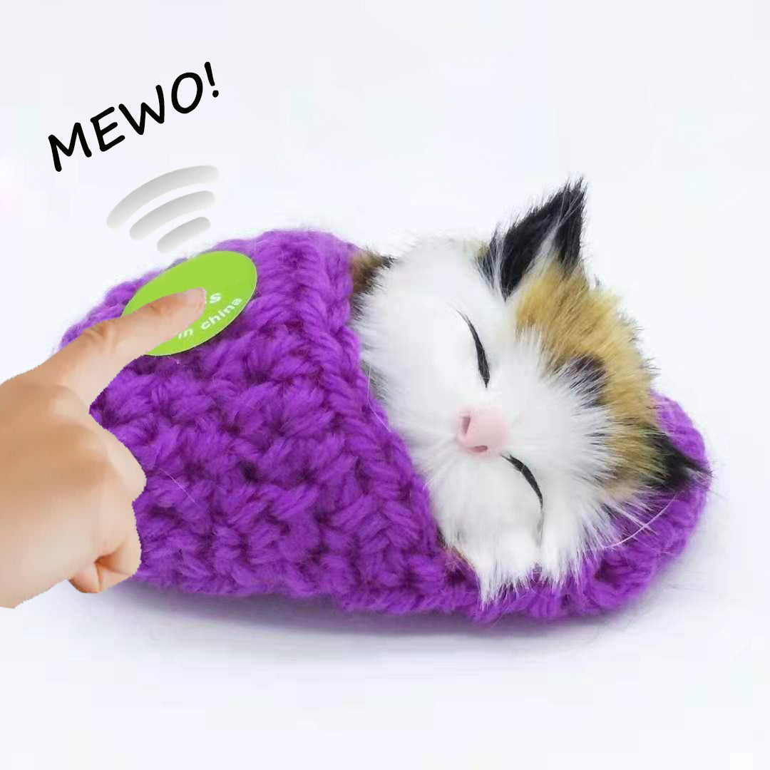 Cute Sleeping Kitten In Shoe Toy
