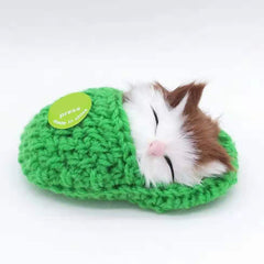 Cute Sleeping Kitten In Shoe Toy