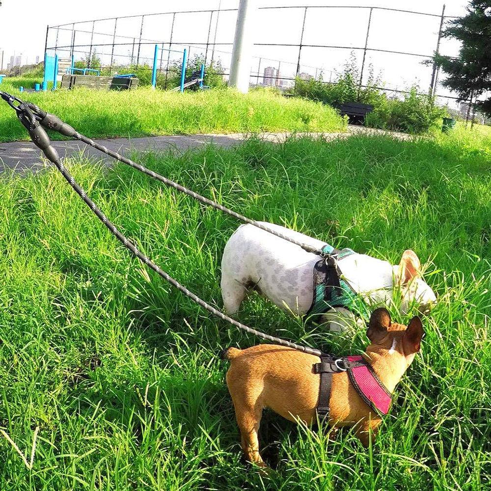 JOYTALE Dual Dog Leash No Tangle Walking Leash