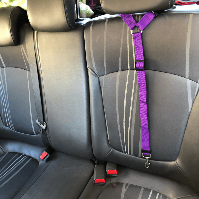 Adjustable Pet Car Seat Belt and Leash for Dogs Cats