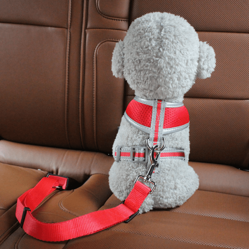 Adjustable Pet Car Seat Belt Harness for Dogs and Cats Secure Travel