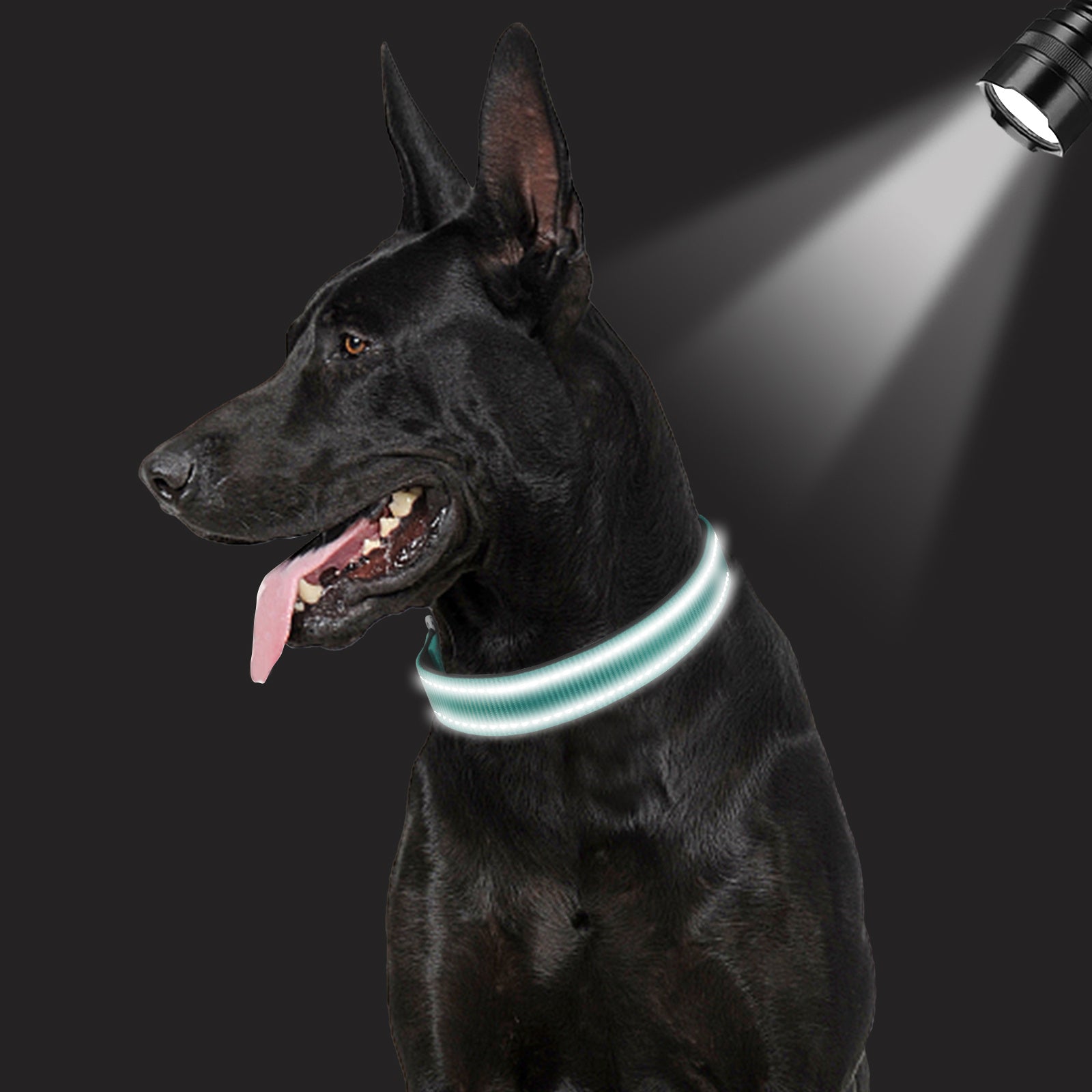 JOYTALE Reflective Dog Collar Neoprene Padded Nylon Pet Collar for Safety