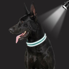 JOYTALE Reflective Dog Collar Neoprene Padded Nylon Pet Collar for Safety