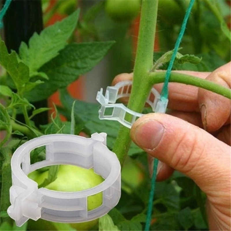 50pcs Tomato Plant Support Clips Keep Plants Upright & Vines Climbing