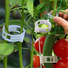 50pcs Tomato Plant Support Clips Keep Plants Upright & Vines Climbing