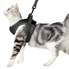 Soft Cat Harness Leash Straps Walking Jacket Set