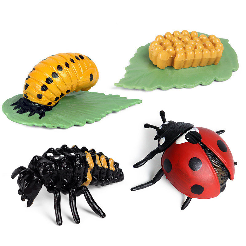 Preschool Plant & Animal Growth Model Set - Educational Toys