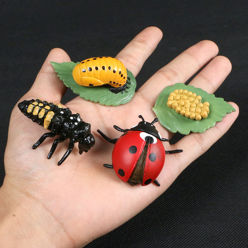 Preschool Plant & Animal Growth Model Set - Educational Toys