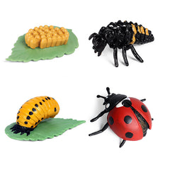 Preschool Plant & Animal Growth Model Set - Educational Toys