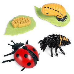 Preschool Plant & Animal Growth Model Set - Educational Toys