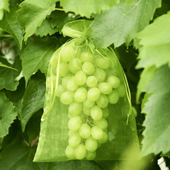 20pcs Garden Mesh Bags for Pest & Bird Protection