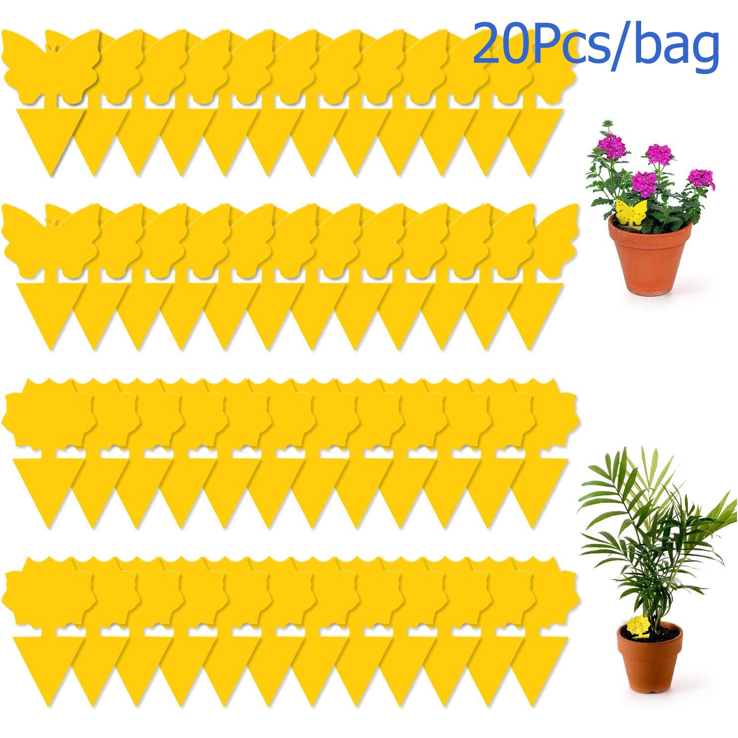 20pcs Sticky Fruit Fly Traps Gnat Killer Indoor Plant Fungus Gnat Trap