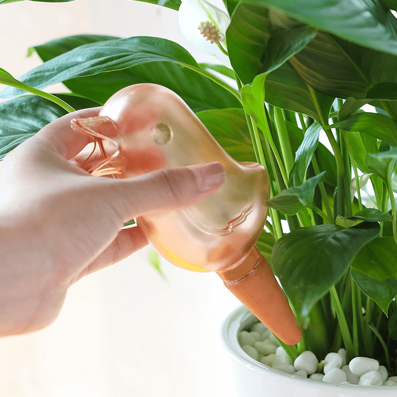 Bird Shaped Automatic Watering Device for Plants