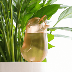 Bird Shaped Automatic Watering Device for Plants