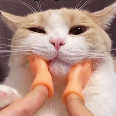 Mini Fidget Toys for Kids & Adults - Fun Halloween Cat Gift