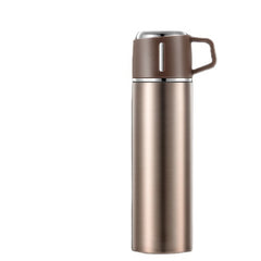 500ml Stainless Steel Water Bottle with Tea Filter, Leakproof Insulated Tumbler