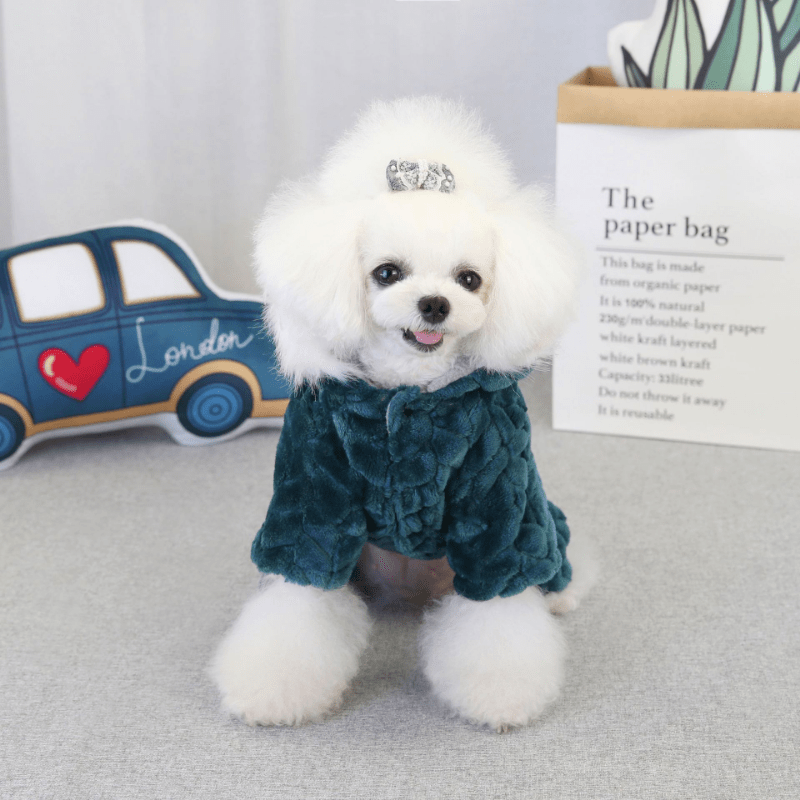 Festive Pet Sweaters & Pajamas for Dogs & Cats