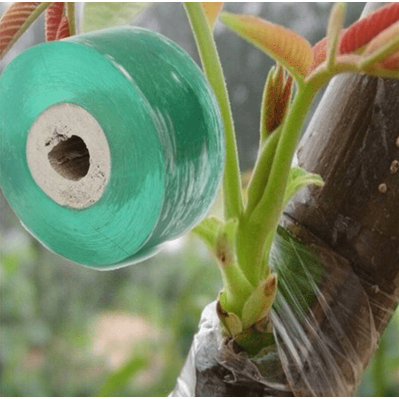 Fruit Tree Grafting Tape 1 Roll