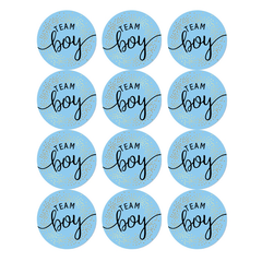 60pcs Team Stickers Gender Reveal Party Box Label Favors Supplies