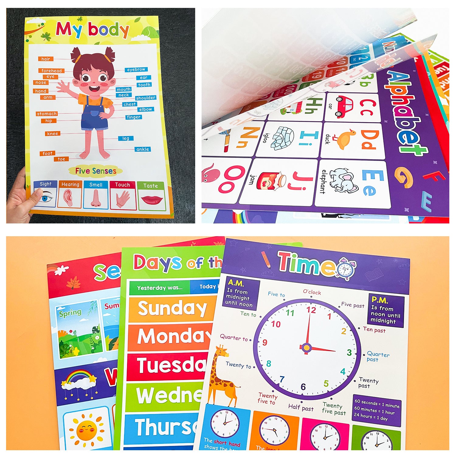 Educational Posters for Toddlers Kids Children Early Education