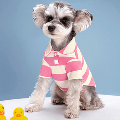 Summer Stripe Two Legged Dog Tee Shirt Small To Medium Dogs Lightweight