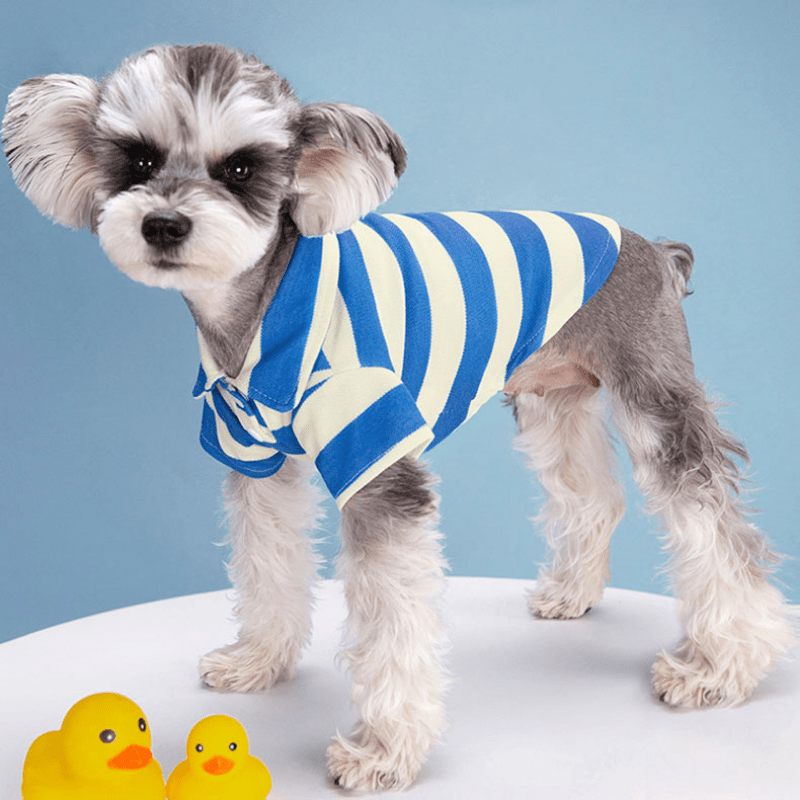 Summer Stripe Two Legged Dog Tee Shirt Small To Medium Dogs Lightweight