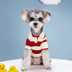Summer Stripe Two Legged Dog Tee Shirt Small To Medium Dogs Lightweight