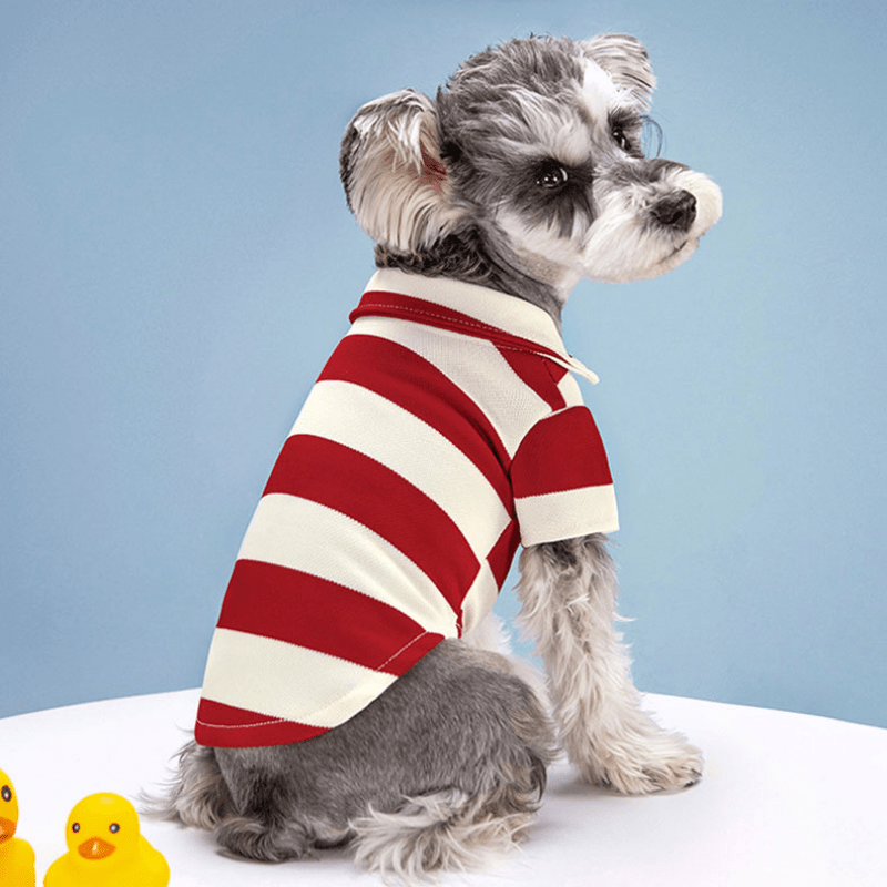 Summer Stripe Two Legged Dog Tee Shirt Small To Medium Dogs Lightweight