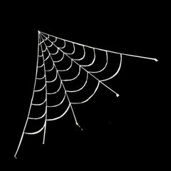 1pc Halloween Light Up Spider Spider Web Scary Giant Halloween Spider