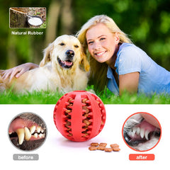 Dog Leaking Food Toy Rubber Chew Toys Interactive Molar Toy