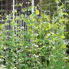 DIY Plant Support Net for Climbing Plant 5-15ft