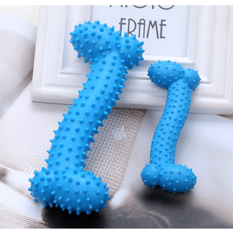 TPR Dog Chew Toy for Teeth Cleaning & Interactive Play Bone Shape