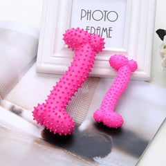 TPR Dog Chew Toy for Teeth Cleaning & Interactive Play Bone Shape